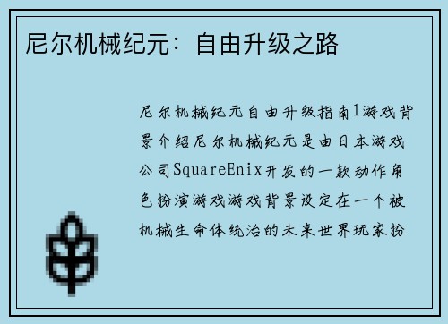 尼尔机械纪元：自由升级之路