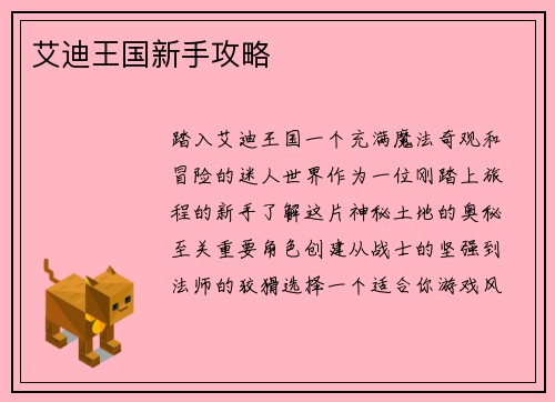 艾迪王国新手攻略